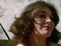 The American Dreamer