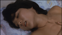 Sex Hunter 1980