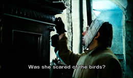 Birds, Orphans and Fools