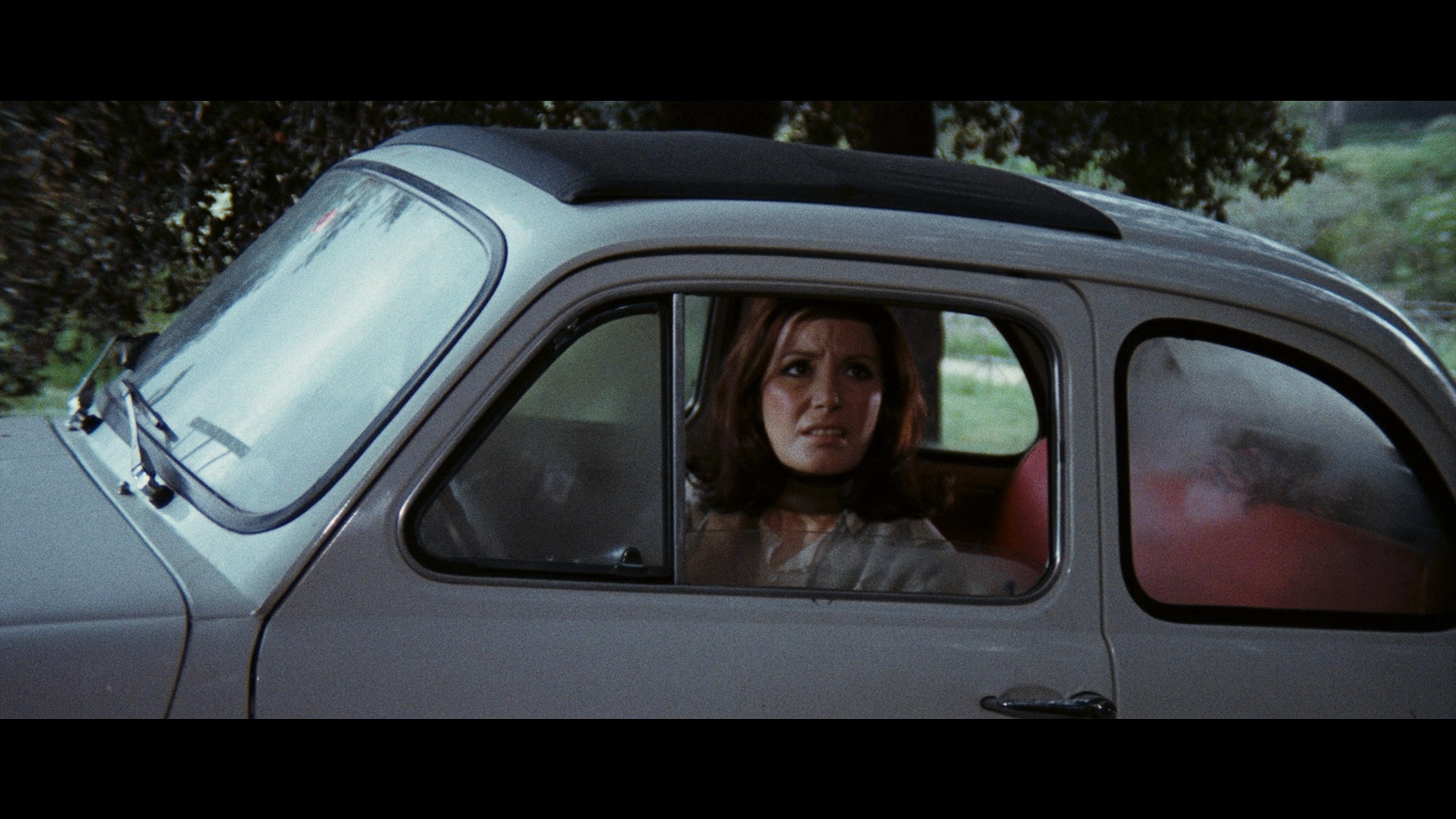 The Bloodstained Butterfly