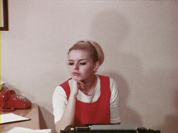 Marsha the Erotic Housewife