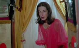 Don't Go in the Woods