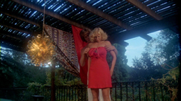 Erotic Adventures of Candy