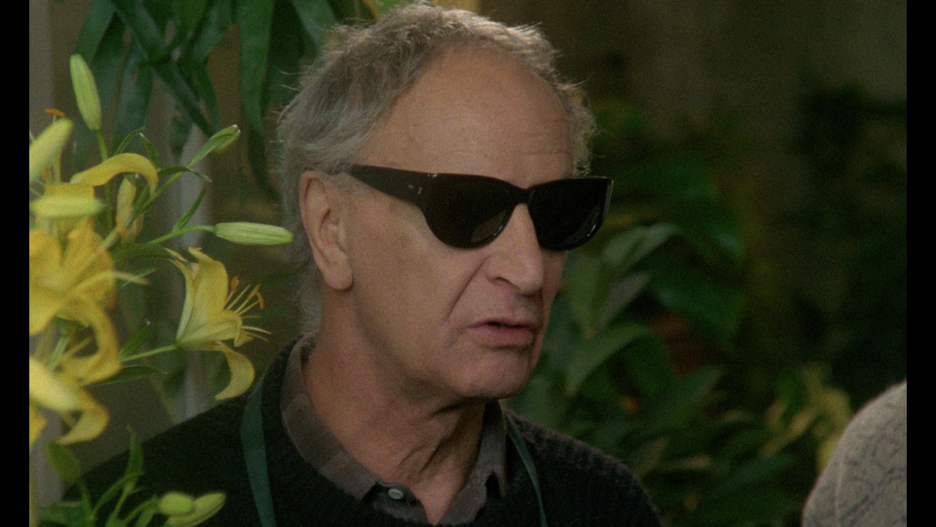 The House of Witchcraft