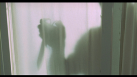 A Lizard in a Woman's Skin