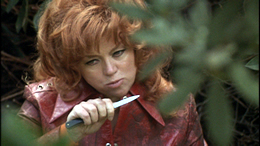 Nothing But The Night