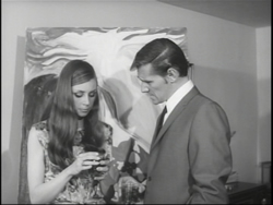 The Platinum Pussycat