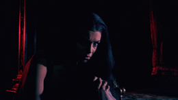 The Whip and the Body