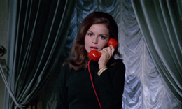 Blood and Black Lace