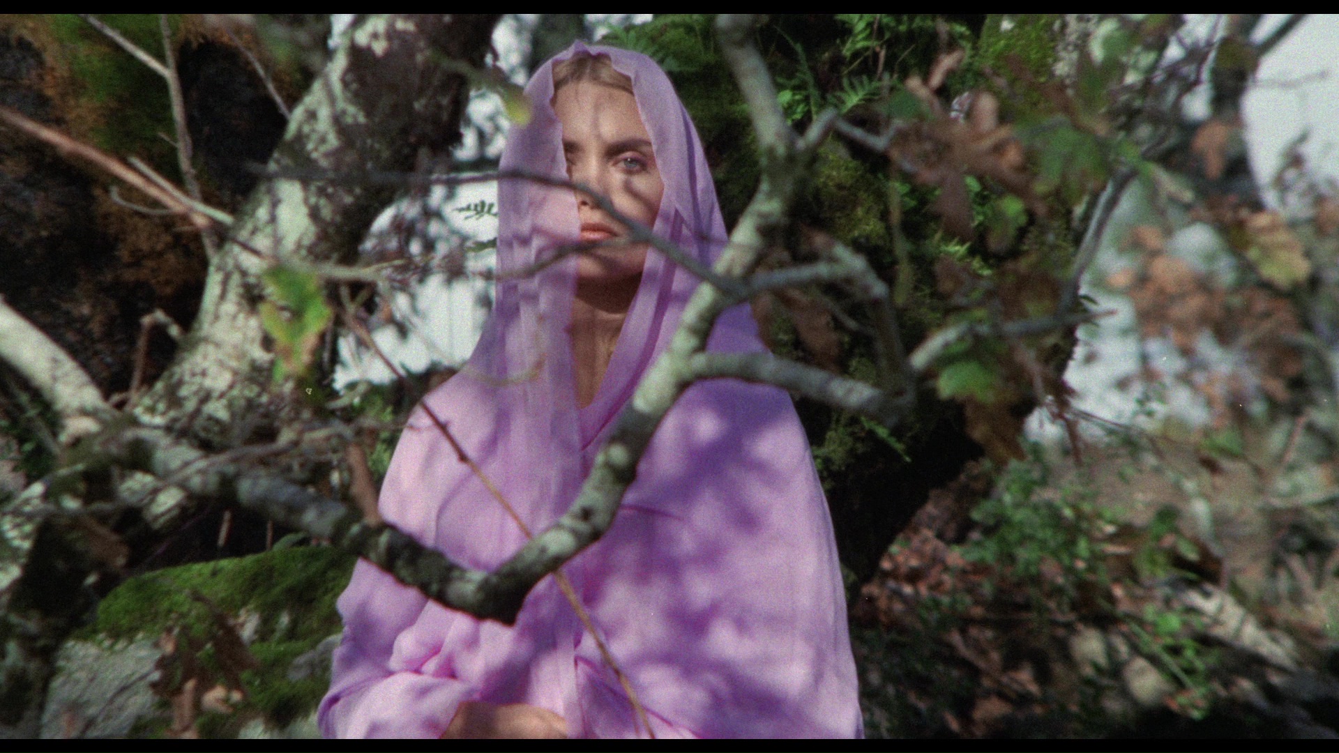 The Blood Spattered Bride