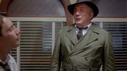 Dixie Ray Hollywood Star