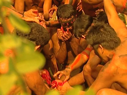 In the Land of the Cannibals